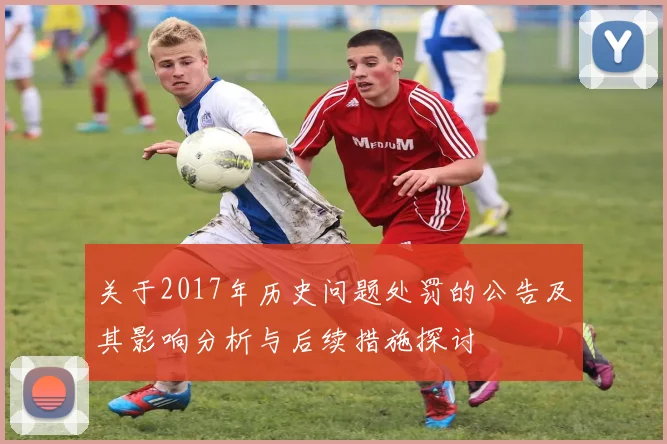 关于2017年历史问题处罚的公告及其影响分析与后续措施探讨