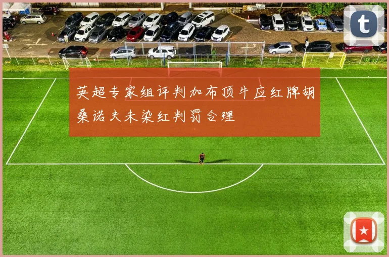 英超专家组评判加布顶牛应红牌胡桑诺夫未染红判罚合理